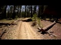 Woods Riding