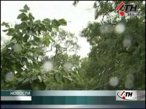 Смотреть видео