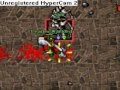 Tibia 8.0 Balera Arenas 1-2