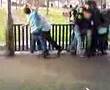 Clip Pow Wow Louie louie