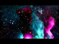Ocelot Beating Hearts Official Music Video and Lyrics
