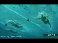Stockbauer underwater stroke2 Stockbauer underwater stroke2