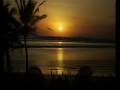 Hot Reggae Dance Mix