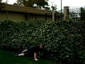 videos de Tyce Falling 3