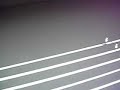 (uploaded by skkayman)&nbsp;Mini LED pig