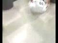 CK Garbage Bowling