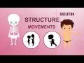Learn about Human Body Parts For Kids - SKELETON