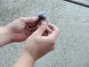 The Importance of Dryer Lint