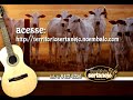 territorio sertanejo