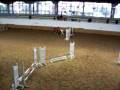 CSO poney