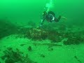 Scuba Diving in the Stellwagen Bank Sanctuary
