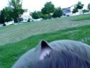 ALIEN ENCOUNTER pt. 1