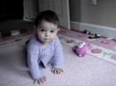 Crawling