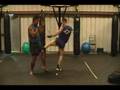Budo Ryu Training: The Left Leg kick Budo Ryu Training: The Left Leg kick