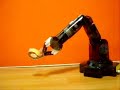 Robot Arm