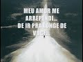 Eu amo voc� - Avi�es do Forr�