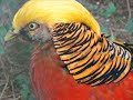 parc animalier de bonnefamille