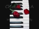 videos de Chicken On A Leash Song