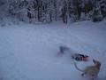 videos de MVI_4622.AVI