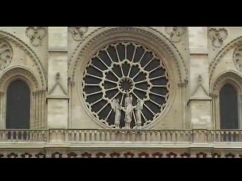 Immagine anteprima YouTube