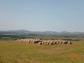 LE cantal en �t�