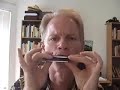 a lesson on one of the most important tongue-blocked octaves for cross-harping blues players, offered by adam gussow of satan and adam.  the 36 blow octave shows up in little walter's 