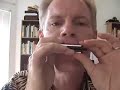 a lesson on one of the most important tongue-blocked octaves for cross-harping blues players, offered by adam gussow of satan and adam.  the 36 blow octave shows up in little walter's 