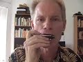 a lesson on one of the most important tongue-blocked octaves for cross-harping blues players, offered by adam gussow of satan and adam.  the 36 blow octave shows up in little walter's 