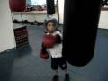 cawan lutando boxe 02.MPG