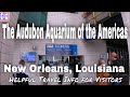 Hotels Near The Audubon Aquarium In New Orleans