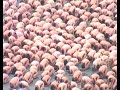 spencer tunick zocalo astillero.tv