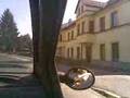Qlop i Bubel-PILA w Klatovy
