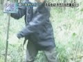 Aiba is stupid ? Aiba is stupid ?