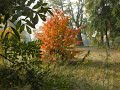 \"NOTE DI SETTEMBRE\" LIVE A SAN COSMA E DAMIANO