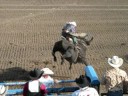 Let er Buck Let er Buck