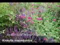 Water Conservation PSA 2