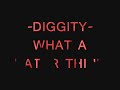 DIGGITY WHAT A HATER THINK VIDEO
