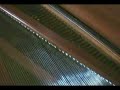 collezioni di musicologia