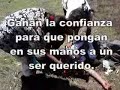 Servicio de Vigilancia A�rea 3