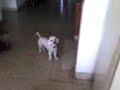 zoe :P