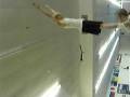 videos de Double Arabian