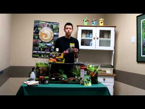 how to care for a royal python