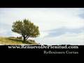 Reflexiones - Autoestima - potencial - Videos Cristianos