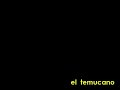 el temucano