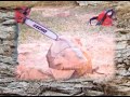 Speed wood Carving in Tasmania Speed wood Carving in Tasmania