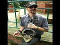 Sarangi Music Sarangi Music