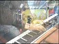 Kanal Telemedial - Hornauer musiziert wieder mal(24.09.2008)