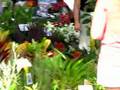 Market Day The Channon australia