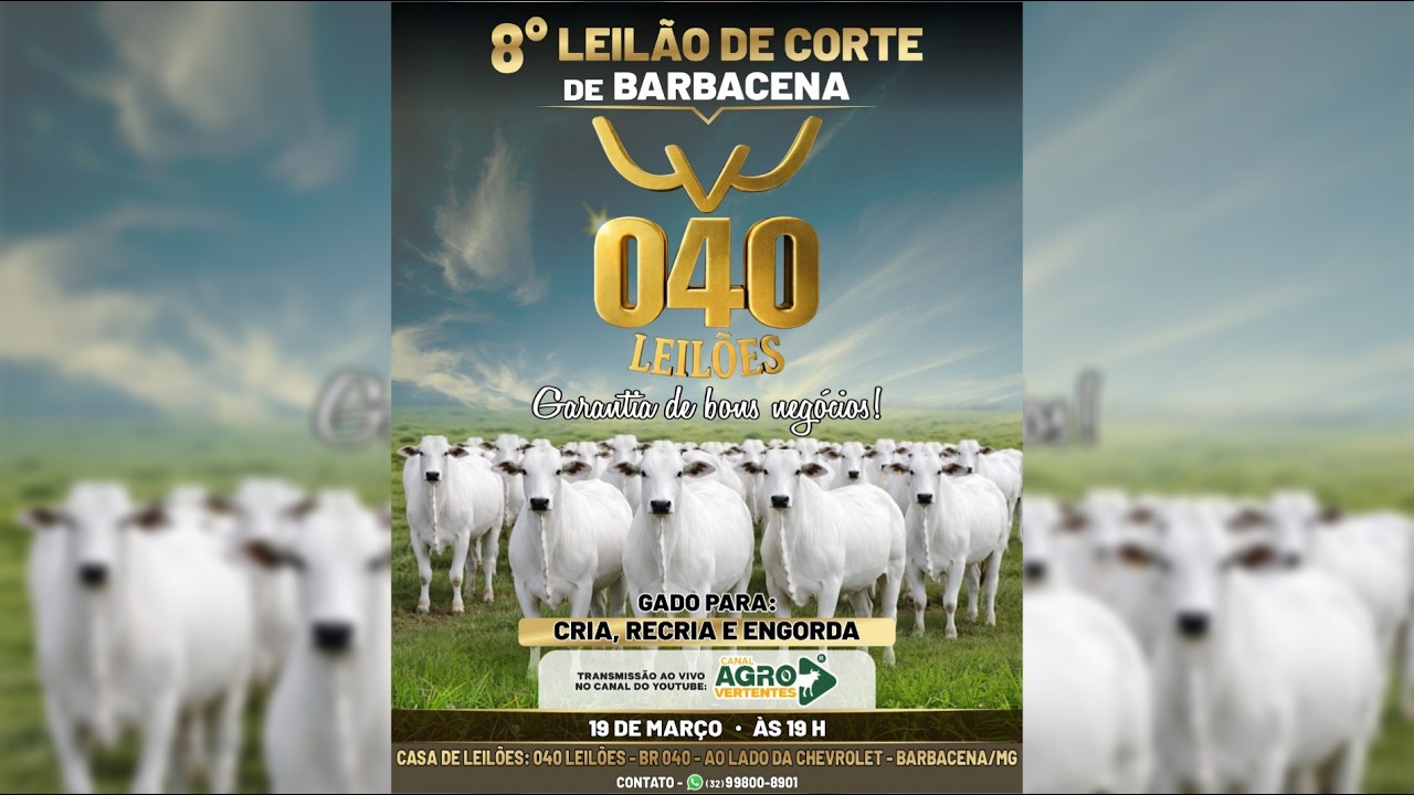 8º LEILÃO DE GADO DE CORTE PRESENCIAL E VIRTUAL 040 LEILÕES BARBACENA/MG - 19/03/2026