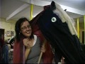 Newfoundland Hobby Horse Builders